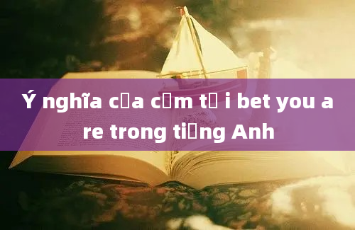 Ý nghĩa của cụm từ i bet you are trong tiếng Anh