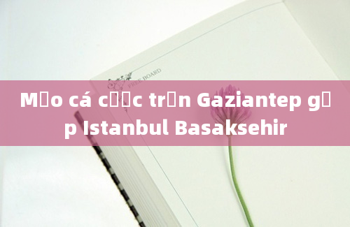 Mẹo cá cược trận Gaziantep gặp Istanbul Basaksehir