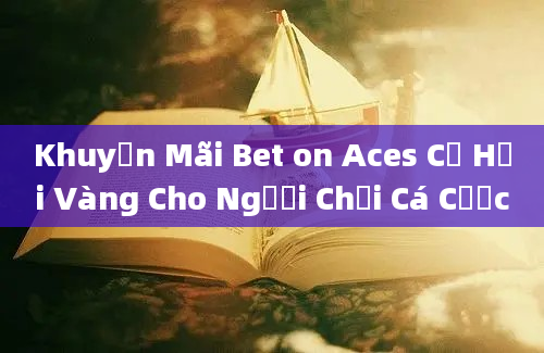 Khuyến Mãi Bet on Aces Cơ Hội Vàng Cho Người Chơi Cá Cược