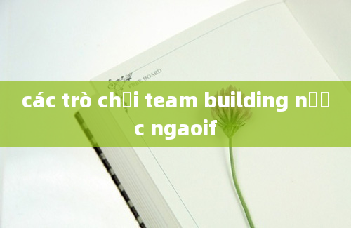 các trò chơi team building nước ngaoif