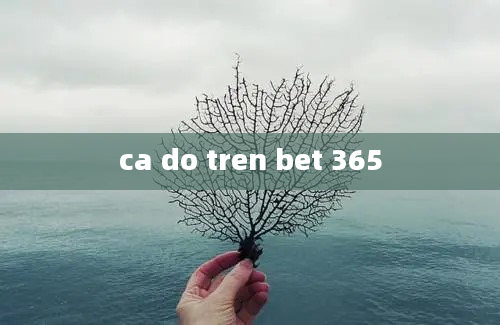 ca do tren bet 365