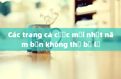 Các trang cá cược mới nhất năm bạn không thể bỏ lỡ