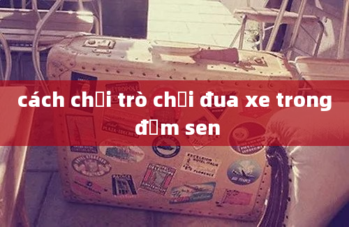 cách chơi trò chơi đua xe trong đầm sen