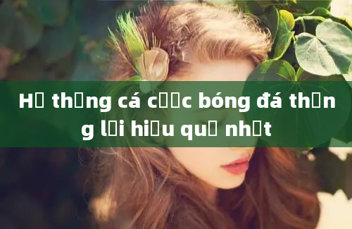 Hệ thống cá cược bóng đá thắng lợi hiệu quả nhất