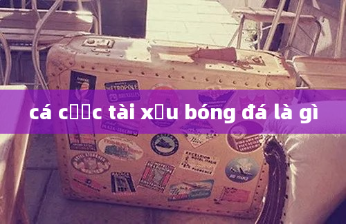 cá cược tài xỉu bóng đá là gì