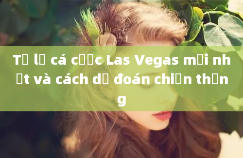 Tỷ lệ cá cược Las Vegas mới nhất và cách dự đoán chiến thắng