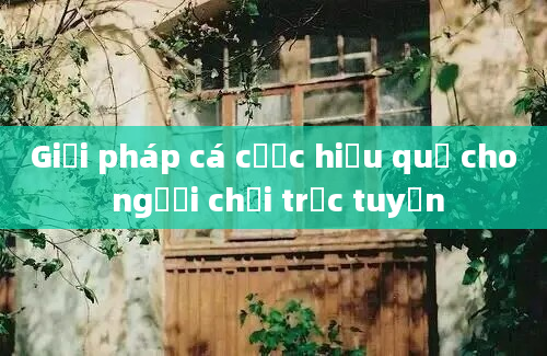 Giải pháp cá cược hiệu quả cho người chơi trực tuyến