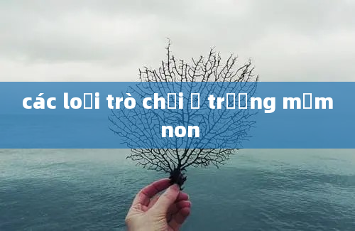 các loại trò chơi ở trường mầm non