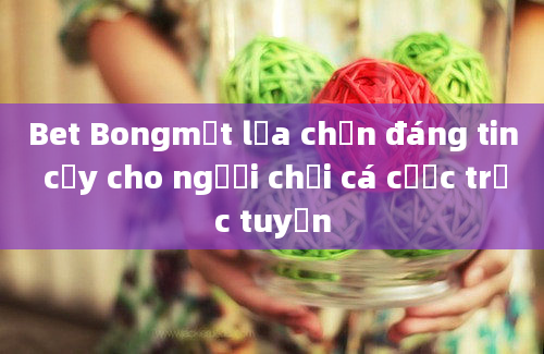 Bet Bongmột lựa chọn đáng tin cậy cho người chơi cá cược trực tuyến