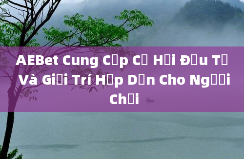 AEBet Cung Cấp Cơ Hội Đầu Tư Và Giải Trí Hấp Dẫn Cho Người Chơi