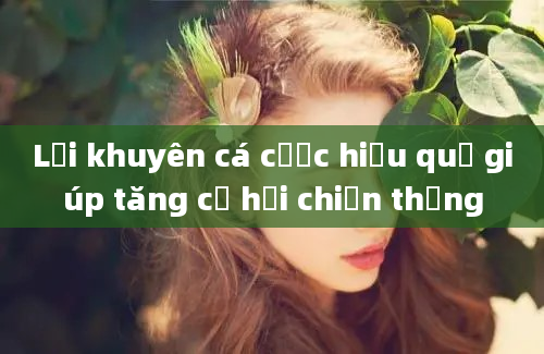 Lời khuyên cá cược hiệu quả giúp tăng cơ hội chiến thắng