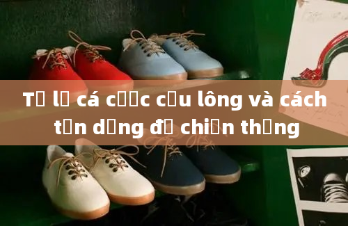 Tỷ lệ cá cược cầu lông và cách tận dụng để chiến thắng