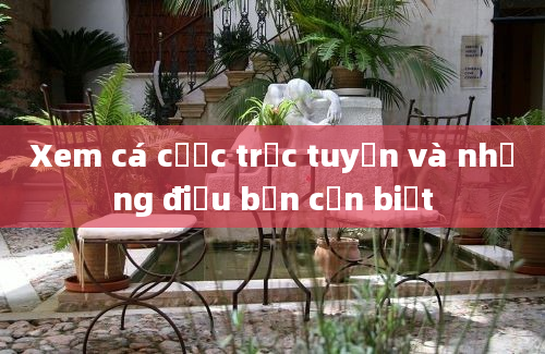 Xem cá cược trực tuyến và những điều bạn cần biết