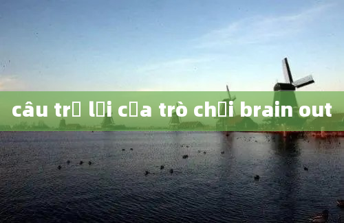 câu trả lời của trò chơi brain out