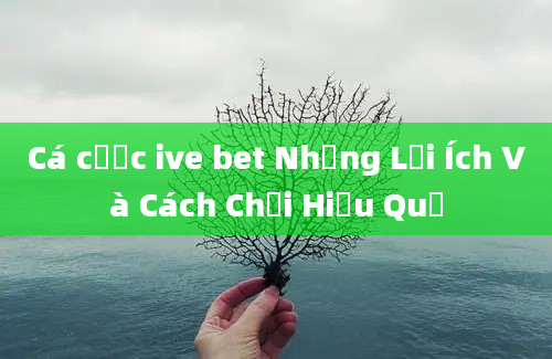 Cá cược ive bet Những Lợi Ích Và Cách Chơi Hiệu Quả