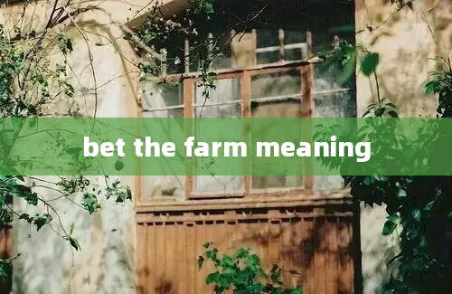 bet the farm meaning