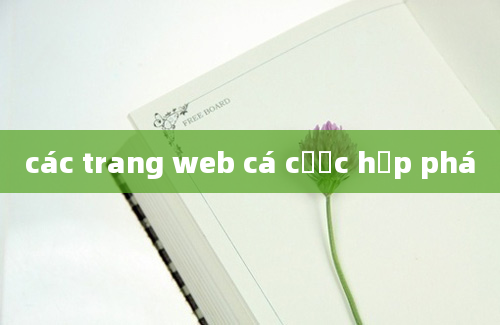 các trang web cá cược hợp phá