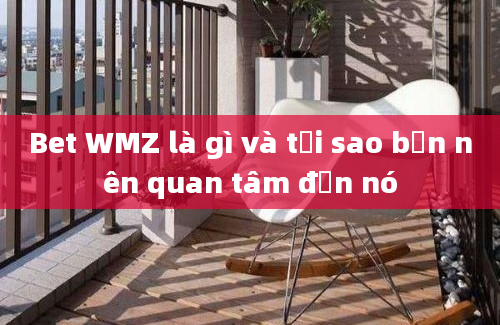 Bet WMZ là gì và tại sao bạn nên quan tâm đến nó