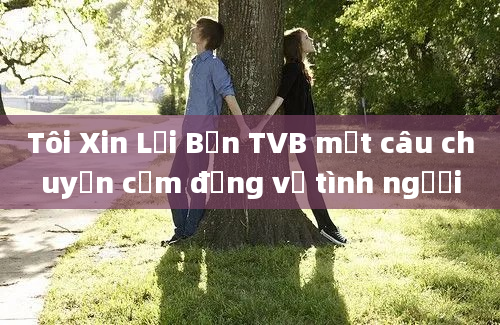 Tôi Xin Lỗi Bạn TVB một câu chuyện cảm động về tình người