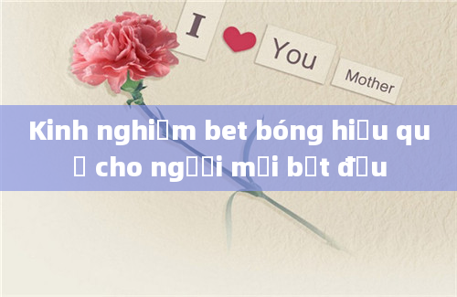 Kinh nghiệm bet bóng hiệu quả cho người mới bắt đầu