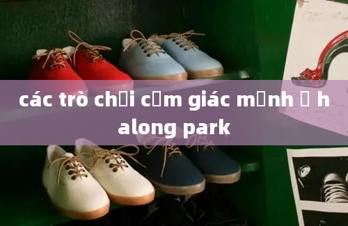 các trò chơi cảm giác mạnh ở halong park