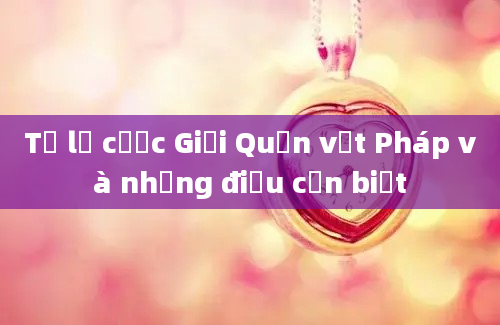 Tỷ lệ cược Giải Quần vợt Pháp và những điều cần biết