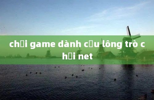 chơi game dành cầu lông trò chơi net