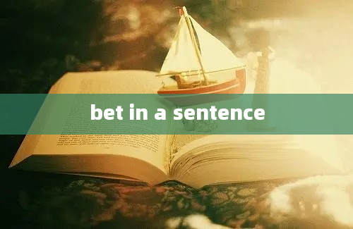 bet in a sentence