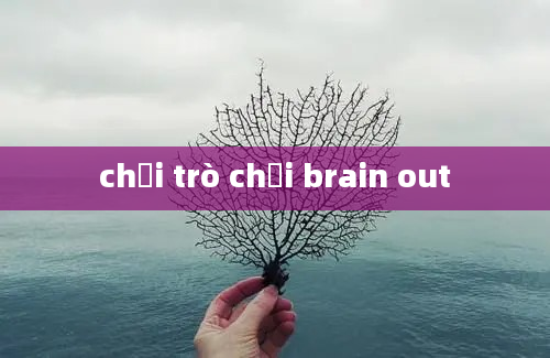 chơi trò chơi brain out