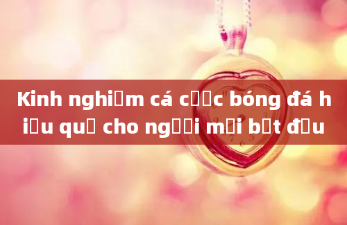 Kinh nghiệm cá cược bóng đá hiệu quả cho người mới bắt đầu