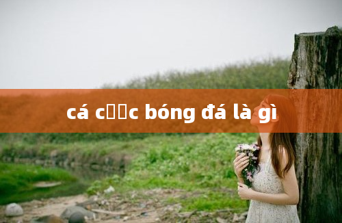 cá cược bóng đá là gì