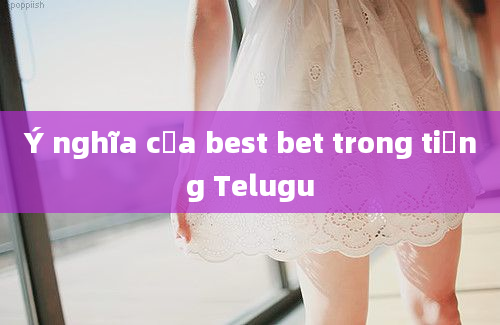 Ý nghĩa của best bet trong tiếng Telugu