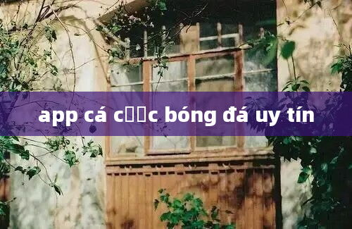 app cá cược bóng đá uy tín