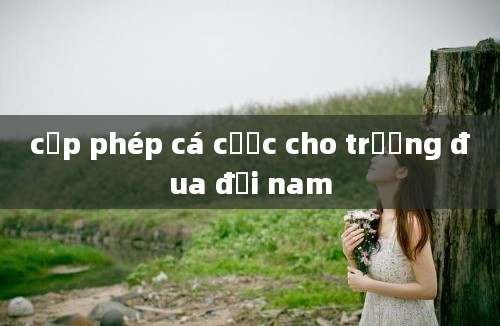 cấp phép cá cược cho trường đua đại nam