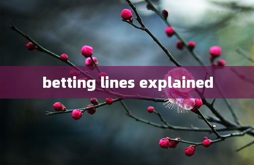 betting lines explained