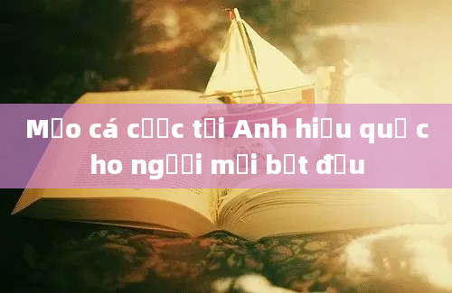 Mẹo cá cược tại Anh hiệu quả cho người mới bắt đầu