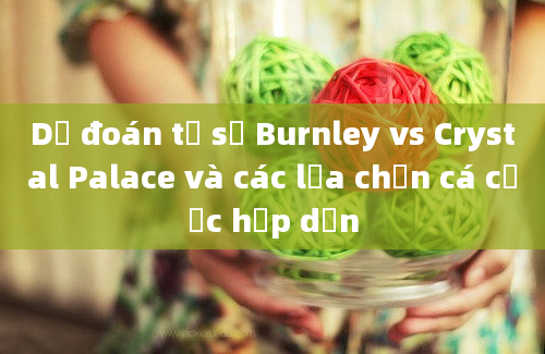 Dự đoán tỷ số Burnley vs Crystal Palace và các lựa chọn cá cược hấp dẫn