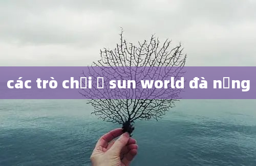 các trò chơi ở sun world đà nẵng