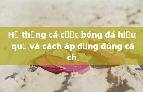 Hệ thống cá cược bóng đá hiệu quả và cách áp dụng đúng cách