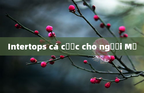 Intertops cá cược cho người Mỹ