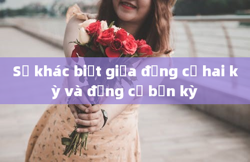 Sự khác biệt giữa động cơ hai kỳ và động cơ bốn kỳ