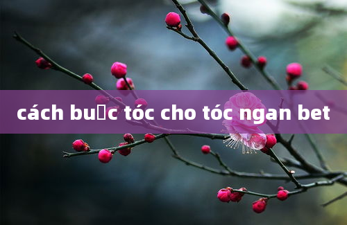 cách buộc tóc cho tóc ngan bet