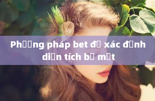 Phương pháp bet để xác định diện tích bề mặt