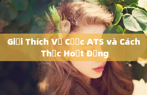 Giải Thích Về Cược ATS và Cách Thức Hoạt Động