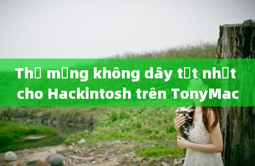 Thẻ mạng không dây tốt nhất cho Hackintosh trên TonyMac