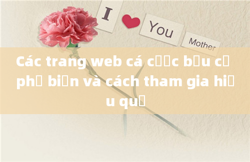 Các trang web cá cược bầu cử phổ biến và cách tham gia hiệu quả