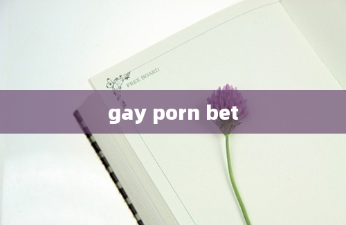 gay porn bet