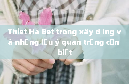 Thiet Ha Bet trong xây dựng và những lưu ý quan trọng cần biết