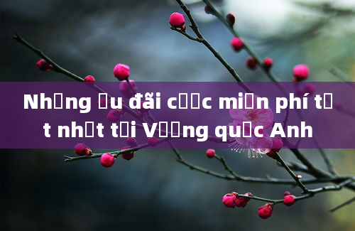 Những ưu đãi cược miễn phí tốt nhất tại Vương quốc Anh