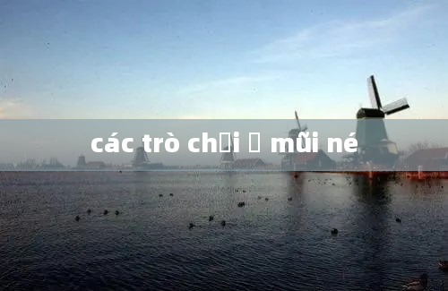 các trò chơi ở mũi né